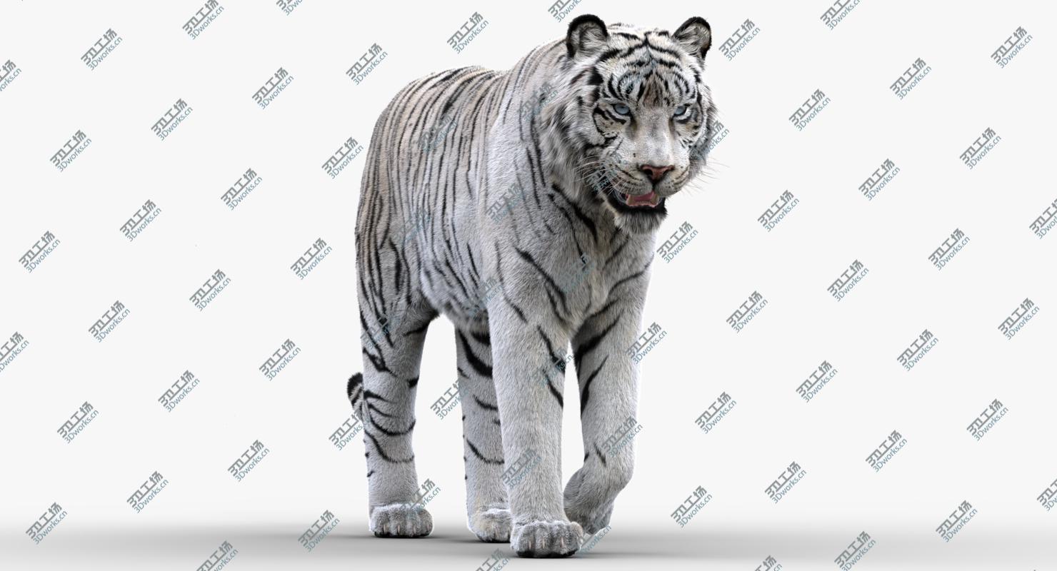 images/goods_img/2021040235/white Tiger(Rigged, FUR) 3D model/2.jpg